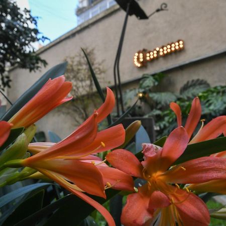 Casa Franca Recoleta Hostel Boutique Buenos Aires Exteriör bild