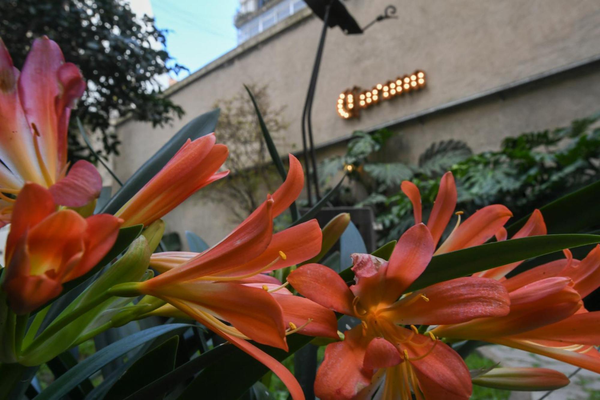 Casa Franca Recoleta Hostel Boutique Buenos Aires Exteriör bild